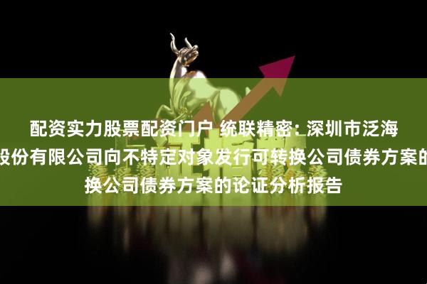 配资实力股票配资门户 统联精密: 深圳市泛海统联精密制造股份有限公司向不特定对象发行可转换公司债券方案的论证分析报告