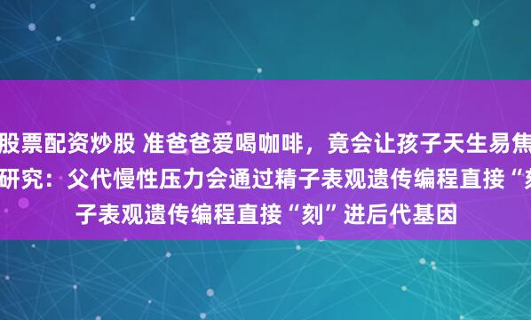 股票配资炒股 准爸爸爱喝咖啡，竟会让孩子天生易焦虑？Adv. Sci.研究：父代慢性压力会通过精子表观遗传编程直接“刻”进后代基因